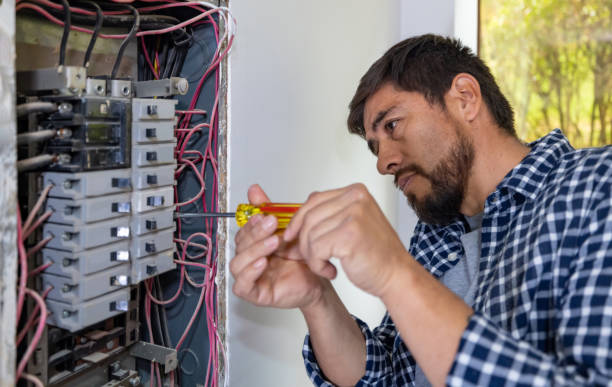 Best Electric Panel Repair  in USA